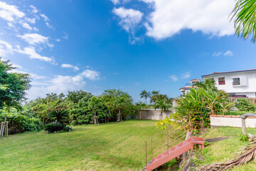 石垣島の青空と植物