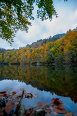 autumn, water, lake, river, landscape, nature, forest, fall, tree, reflection, sky, trees, blue, yellow, park, pond, green, leaves, foliage, leaf, season, mirror, calm, red, outdoors