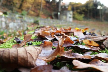 Freilichtbühne Heppenheim
