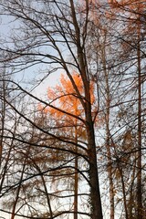 Freilichtbühne Heppenheim