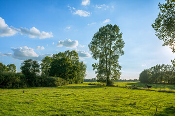 Stunning Norfolk country side, coming into the witching hour