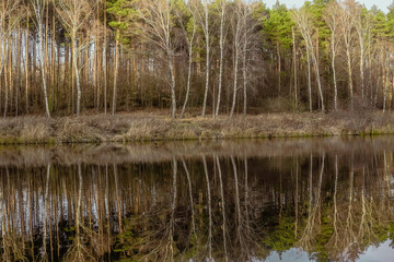 Reflection of trees in the water. Landscape. Deep waters of the blue lake surrounded by winter forest. Trees above the water