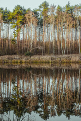 Reflection of trees in the water. Landscape. Deep waters of the blue lake surrounded by winter forest. Trees above the water