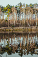 Reflection of trees in the water. Landscape. Deep waters of the blue lake surrounded by winter forest. Trees above the water