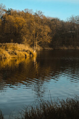 Fototapeta premium Reflection of trees in the water. Landscape. Deep waters of the blue lake surrounded by winter forest. Trees above the water