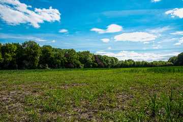 Fototapeta na wymiar Farmers field with blue sky and clouds