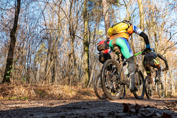 Mountain biking scene in a woodland