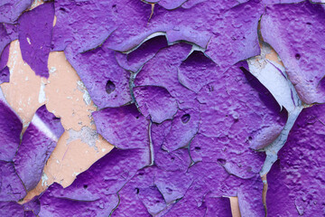 Old peeling purple paint on the wall. Empty template and mockup. 