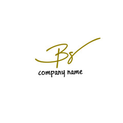 BS Handwritten Logo for Identity
