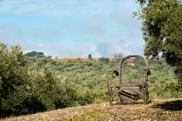 Abandoned broken wicker chair in the field overlooking the olive grove