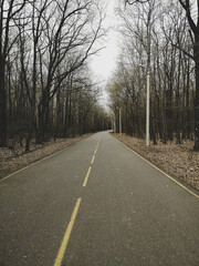 Fototapeta premium sdf