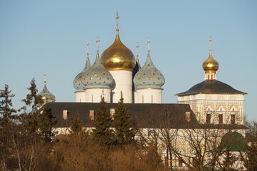 Obraz premium Russia, Trinity-Sergius Lavra: domes