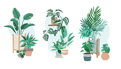 Three compositions made with potted house plants 