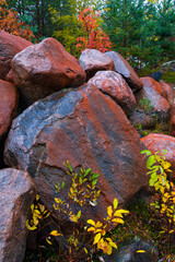 Autumn colors in the taiga and tundra of Finland, Europe