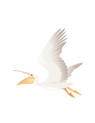 Pelican genus large water bird cartoon animal design big white bird flying with orange open beak flat vector illustration isolated on white background