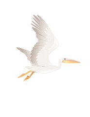Pelican genus large water bird cartoon animal design big white bird flying with orange beak flat vector illustration isolated on white background