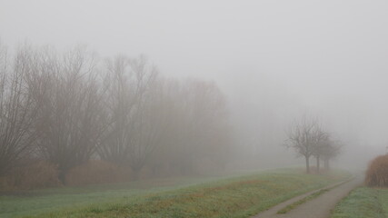 Obraz na płótnie Canvas Landschaft in dichtem Nebel mit einem Deich, kahlen Bäumen und Fußweg im Herbst oder Winter