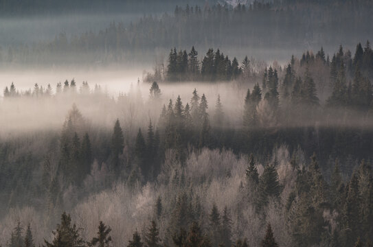 krajobraz górski we mgle © krzysci