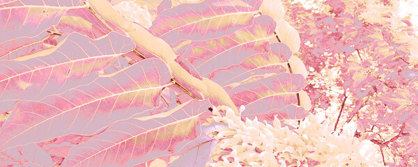Perple Jungle Decoration. White Tree Template. Pastel Fashion Artwork. Pink Modern Image. Fashion Wallpaper. Beige Wedding Background. Palm Print. Abstract Drawing.