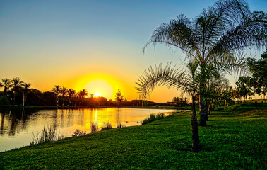 Sunset on the lake in a park with coconut trees, lawn and trees beside and blue sky