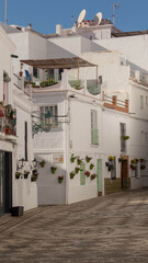 Calle vestida de flores