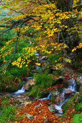 Landscapes and fall colors in the Taballon de Mongallu,  Redes Natural Park, in the Caso Council. Asturias, Spain, Europe