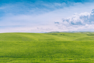 Green field against blue sky