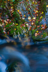 Landscapes and fall colors in the Redes Natural Park, in the Caso Council. Asturias, Spain, Europe