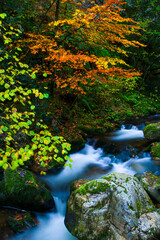 Landscapes and fall colors in the Redes Natural Park, in the Caso Council. Asturias, Spain, Europe