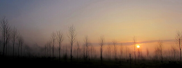 Fototapeta na wymiar Paesaggio invernale in campagna all'alba ed al tramonto