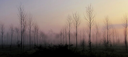 Paesaggio invernale in campagna all'alba ed al tramonto
