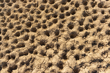 Texture background of a dry soil plenty of hollows
