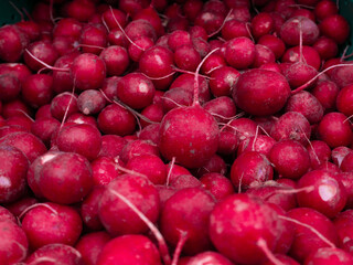 radish in the supermarket, on the counter