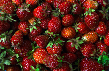 Fresh strawberries close-up .Wallpaper