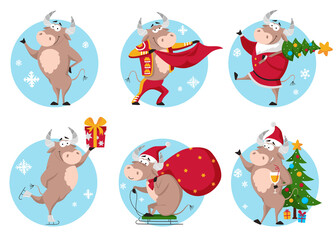 Cute cartoon Christmas ox, cow, bull vector clipart. The symbol of Chinese year 2021. Happy New Year funny characters.