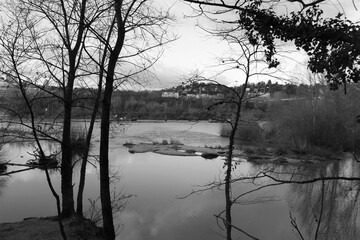 Le fleuve Rhône vu depuis le parc de la Feyssine, ville de Villeurbanne, département du Rhône, France