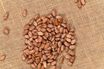 Pinto Beans Background and Texture