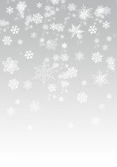 Naklejka na ściany i meble Snow background. Grey and white Christmas snowfall with defocused flakes. Winter concept with falling snow. Holiday texture and white snowflakes