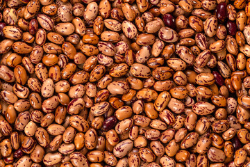 White Cargamanto beans, also known as Cranberry, Borlotti, or Romano beans background and texture. Top view.