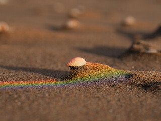 seashells on sand,  staying on top of erosion shape created by the wind, lightpainted with rainbow...