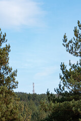 A telecommunications tower on top of forest hill with clear blue sky lots of copy space for advert text clean sharp colors and focus