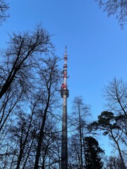 Funkturm im Wald / Radio tower in forrest III