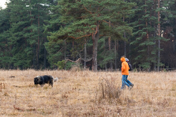 Naklejka na ściany i meble Group of hikers with dog pet bright colored jackets journey through autumn valley on forest background