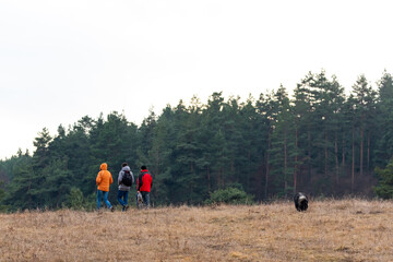 Group of hikers with dog pet bright colored jackets journey through autumn valley on forest background