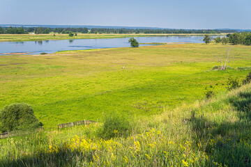 Summer rural landscape with agriculture fields on a bank of a river, forest and Oder River as a country border between Germany and Poland