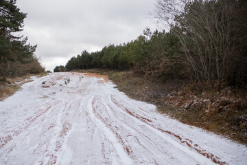 Scenes from the Camino de Santiago as it passes through Montes de Oca, province of Burgos, Spain