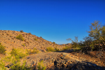 South Mountain Park and Preserve, Pima Canyon Hiking Trail, Phoenix, Southern Arizona desert. United States.