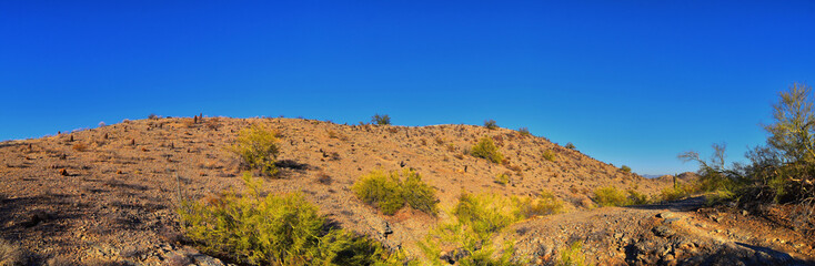 South Mountain Park and Preserve, Pima Canyon Hiking Trail, Phoenix, Southern Arizona desert. United States.