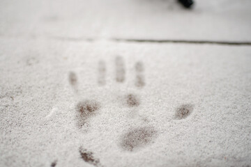 Scenes from the Camino de Santiago as it passes through Montes de Oca, province of Burgos, Spain