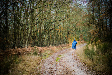 Scenes from the Camino de Santiago as it passes through Montes de Oca, province of Burgos, Spain